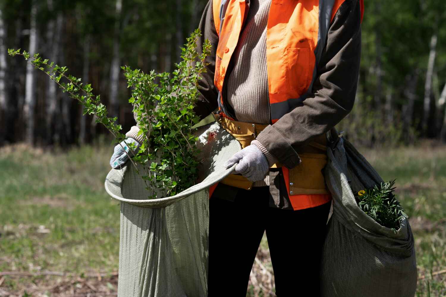 Best Tree Root Removal  in Clairton, PA